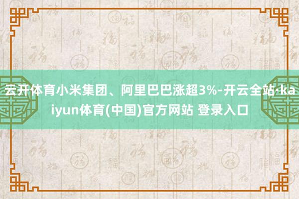 云开体育小米集团、阿里巴巴涨超3%-开云全站·kaiyun体育(中国)官方网站 登录入口