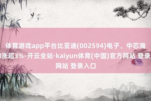 体育游戏app平台比亚迪(002594)电子、中芯海外均涨超3%-开云全站·kaiyun体育(中国)官方网站 登录入口