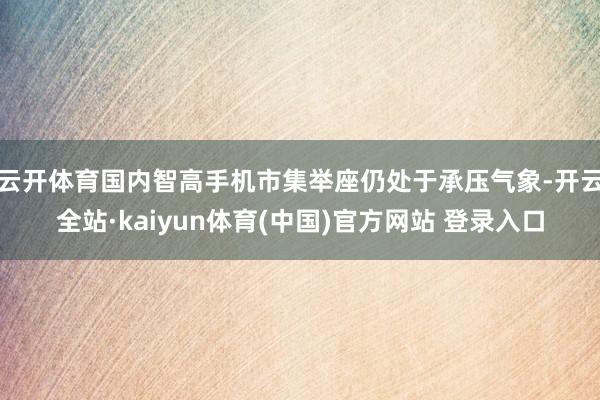 云开体育国内智高手机市集举座仍处于承压气象-开云全站·kaiyun体育(中国)官方网站 登录入口