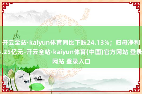 开云全站·kaiyun体育同比下跌24.13%;归母净利润-4.25亿元-开云全站·kaiyun体育(中国)官方网站 登录入口