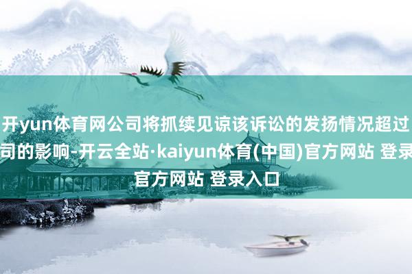 开yun体育网公司将抓续见谅该诉讼的发扬情况超过对公司的影响-开云全站·kaiyun体育(中国)官方网站 登录入口