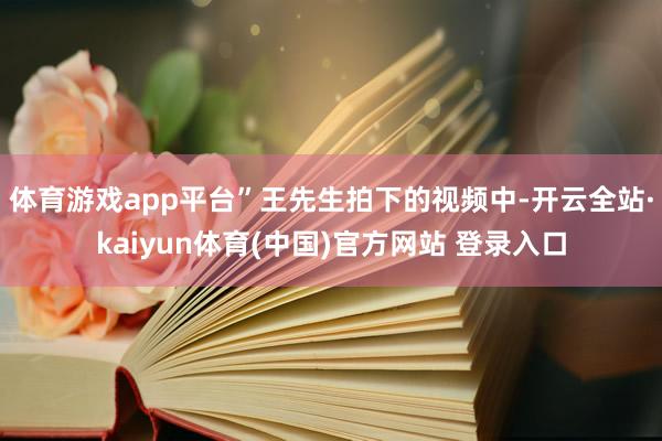 体育游戏app平台”王先生拍下的视频中-开云全站·kaiyun体育(中国)官方网站 登录入口