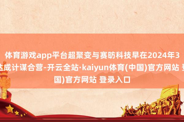 体育游戏app平台超聚变与赛昉科技早在2024年3月就已达成计谋合营-开云全站·kaiyun体育(中国)官方网站 登录入口